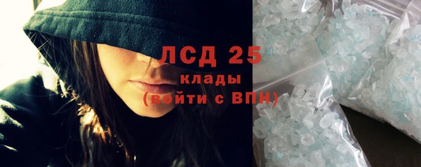 амф Горняк